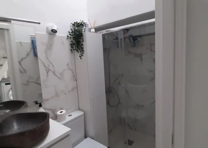 66 マスパロマス